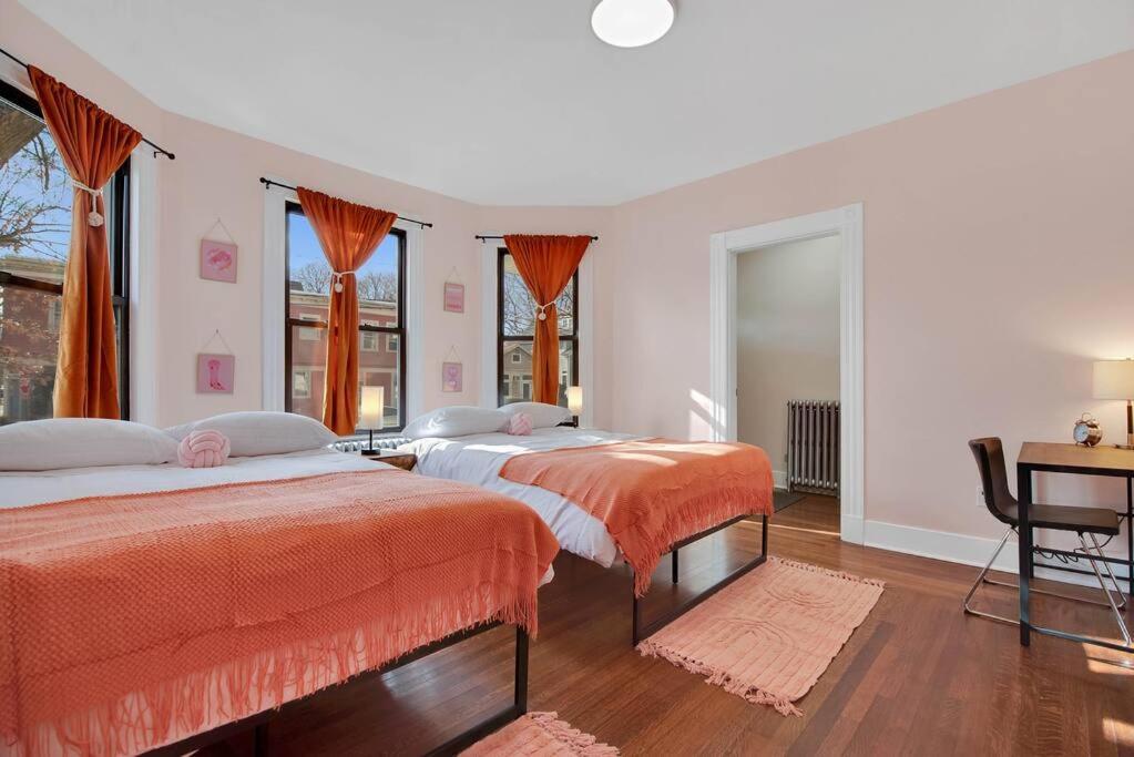 Peachy Paradise In East Rock Near Dt/Yale New Haven Bagian luar foto