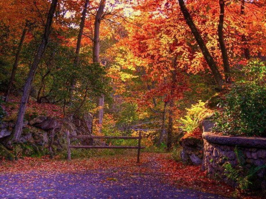 Peachy Paradise In East Rock Near Dt/Yale New Haven Bagian luar foto